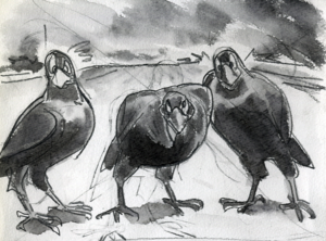 名称未設定-7.psd