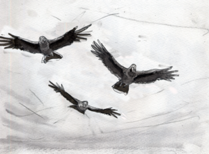 レッサー048−1.psd